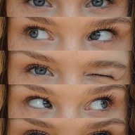 Karlilea